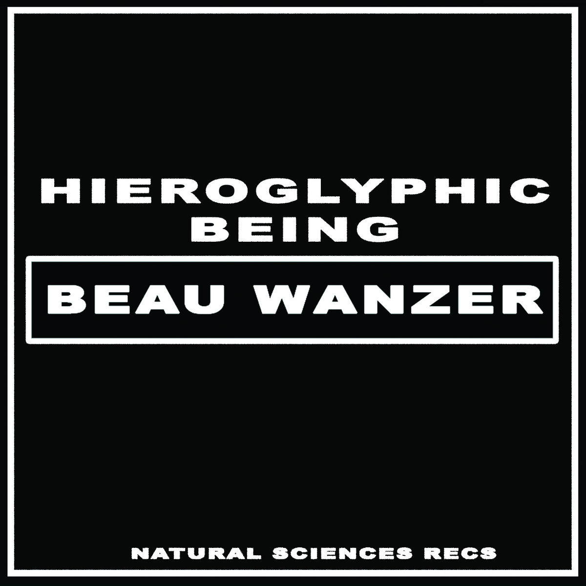 Hieroglyphic Being/4 DYSFUNCTIONAL.. 12"