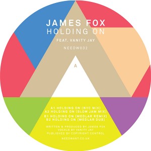 James Fox/HOLDING ON 12"