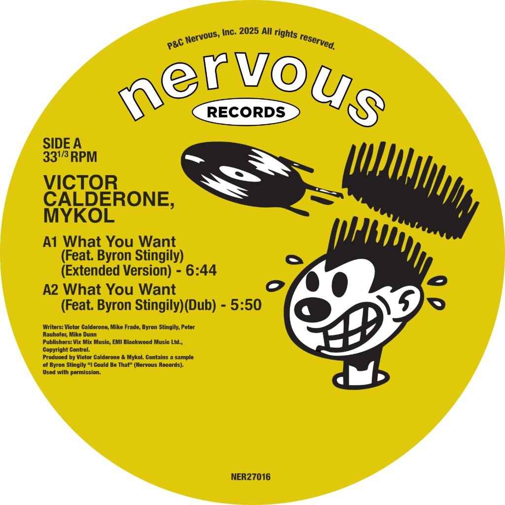 Victor Calderone & Mykol/WHAT YOU WANT 12"