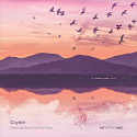 Coyote/EVERYTHING MOVES... LP