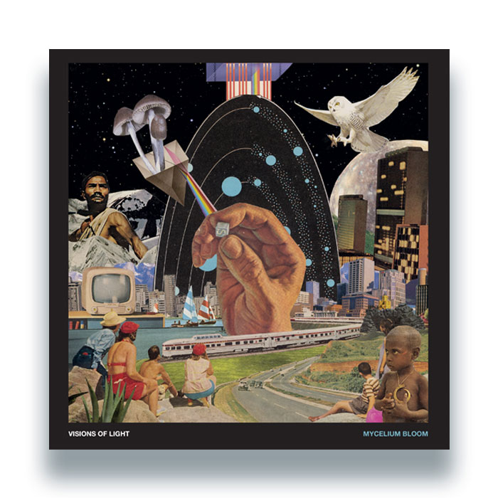 Visions Of Light/MYCELIUM BLOOM LP