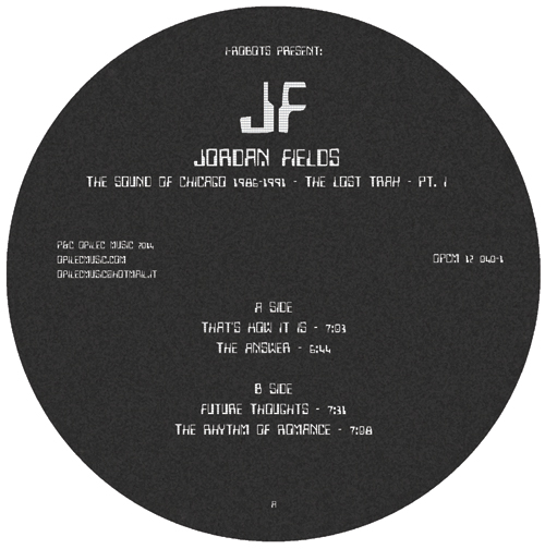 Jordan Fields/THE LOST TRAX PT. 1 12"