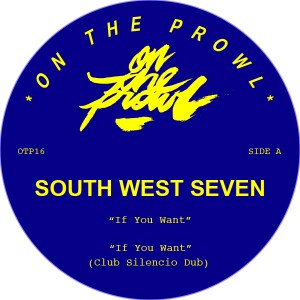 South West Seven/IF YOU WANT 12"