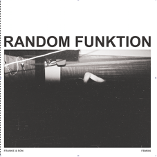 Franke & Son/THE RANDOM FUNKTION EP LP