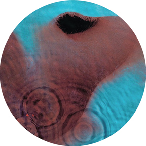 Pink Floyd/MEDDLE SLIPMAT