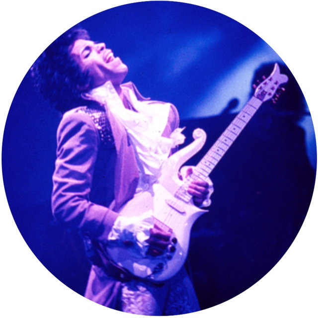 Prince/GUITAR SLIPMAT