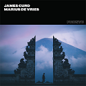 James Curd & Marius De Vries/AUDITORY GATES 12"
