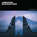 James Curd/AUDITORY GATES 12"