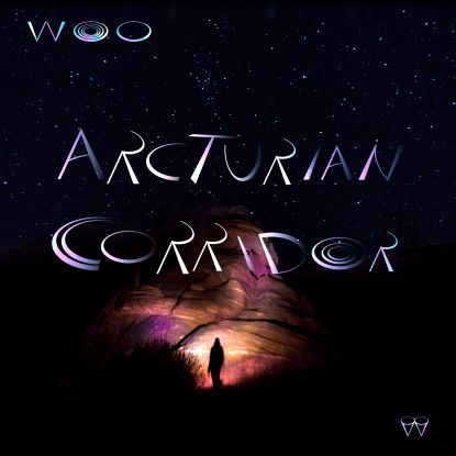 Woo/ARCTURIAN CORRIDOR LP