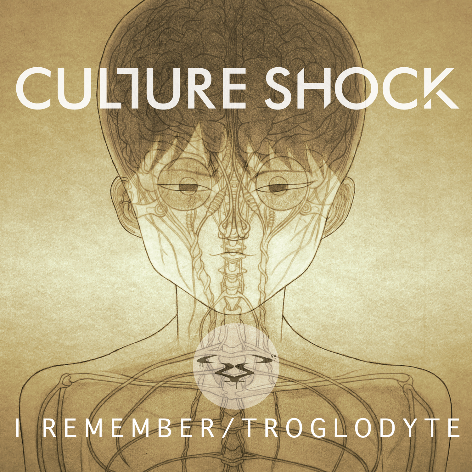 Culture Shock/I REMEMBER 12"