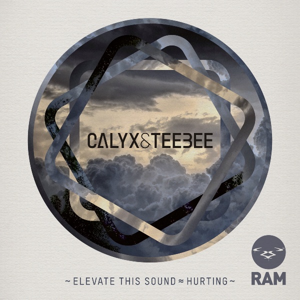 Calyx & Teebee/ELEVATE THIS SOUND 12"