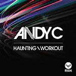 Andy C/HAUNTING 12"