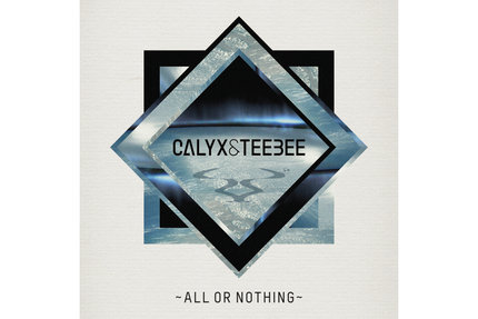 Calyx & Teebee/ALL OR NOTHING DLP