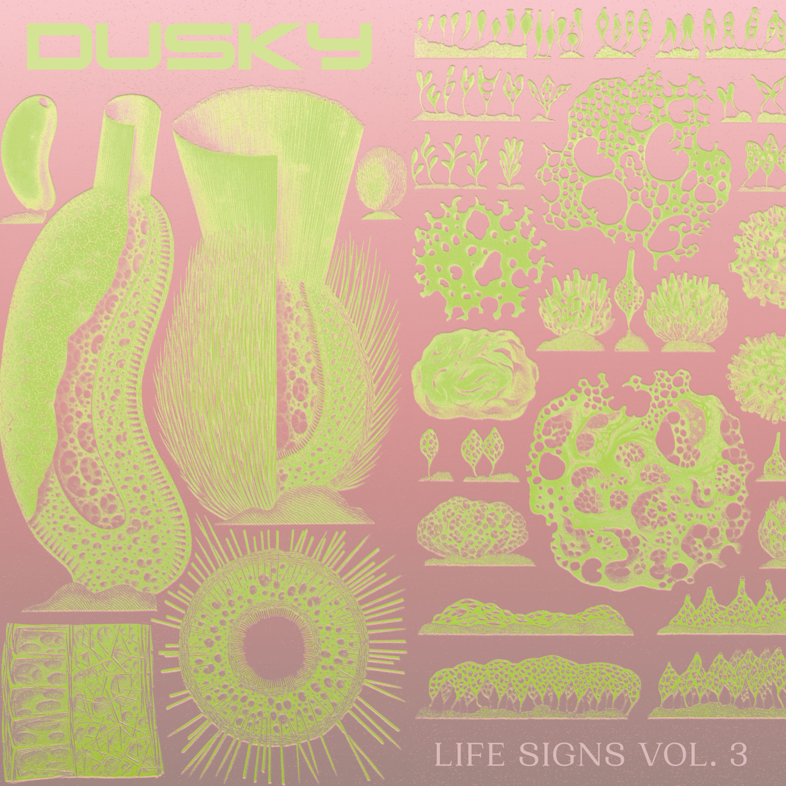 Dusky/LIFE SIGNS VOL. 3 12"