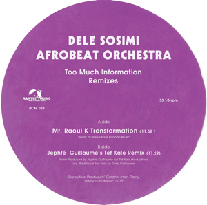 Dele Sosimi/TOO MUCH INFORMATION RMX 12"