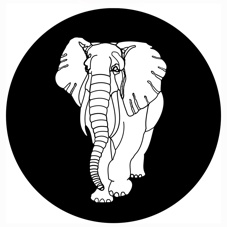 White Elephant/SIR JOHN (MARK E) 10"