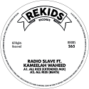 Radio Slave/ALL RIZE 12"