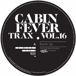 Cabin Fever/CABIN FEVER VOL.16 12"