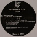 Various/ROBSOUL LIMITED SAMPLER 23 12"