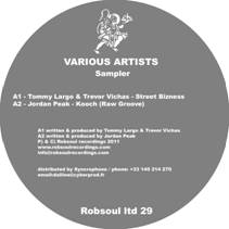 Various/ROBSOUL LIMITED SAMPLER 29 12"