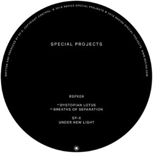 SP-X/UNDER NEW LIGHT 12"