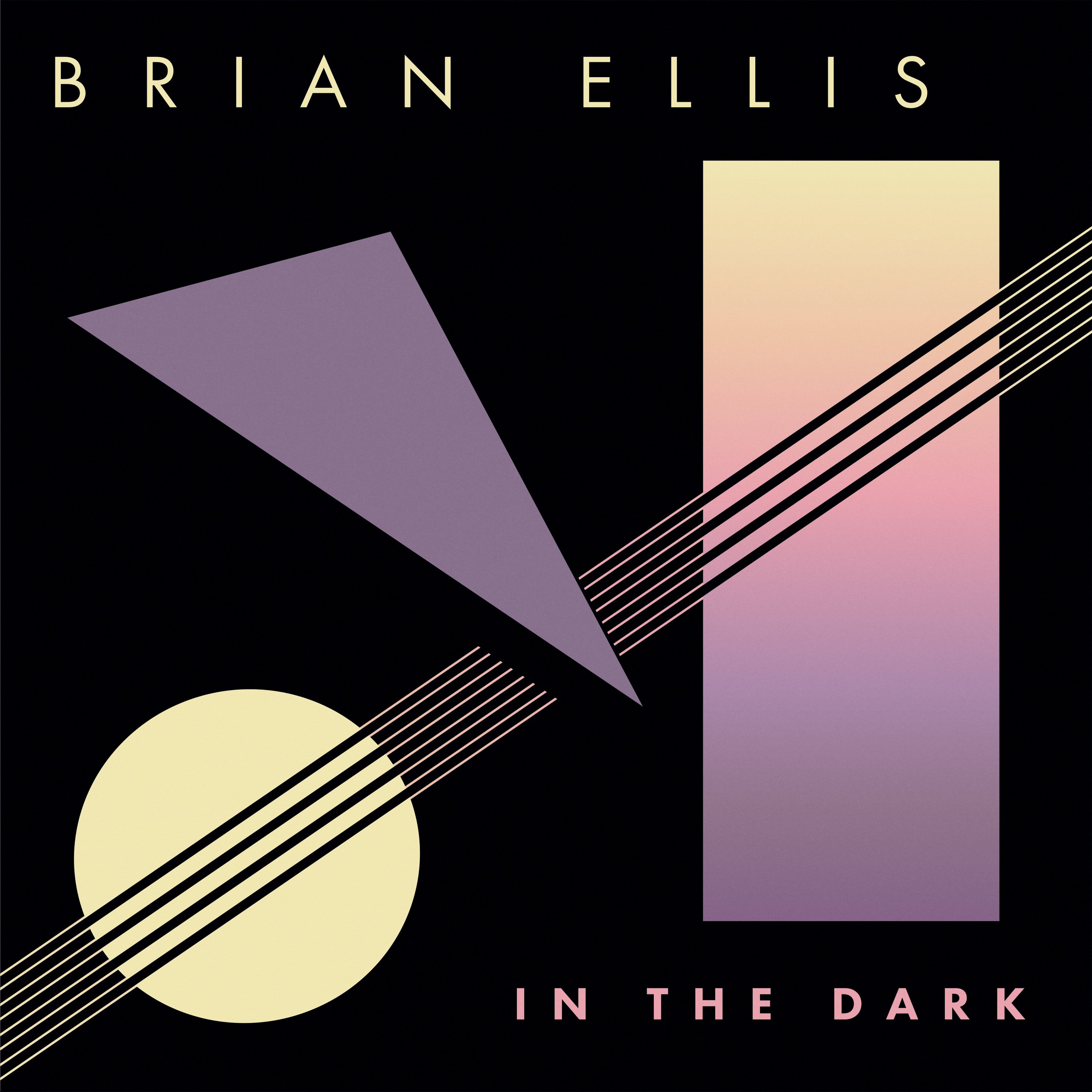 Brian Ellis/IN THE DARK LP