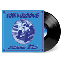 Introverted Funk/BODY'S GROOVE LP