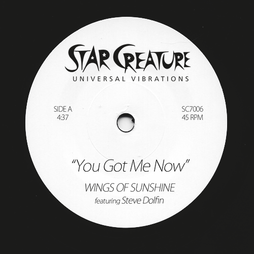 Wings of Sunshine/YOU GOT ME 7"