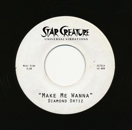 Diamond Ortiz/MAKE ME WANNA 7"