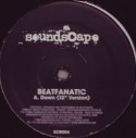 Beatfanatic/DOWN  12"