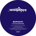 Beatfanatic/FLY AWAY EXTENDED 12"