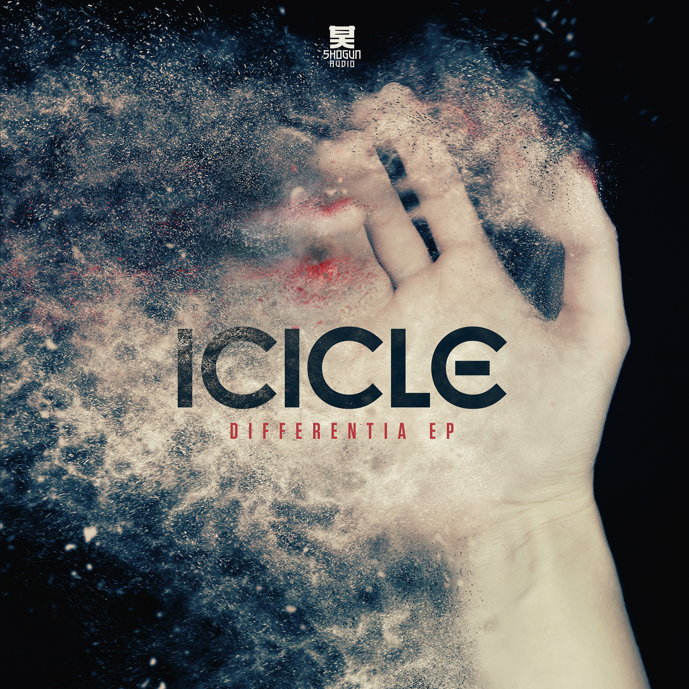 Icicle/DIFFERENTIA EP 12"
