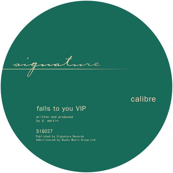 Calibre/FALLS TO YOU VIP 12"