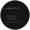 Calibre & Chelou/DOING IT FOR YOU 12"