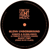 Glenn Underground/ROBOTS BUMBLEBEES 12"