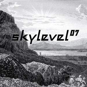 Skylevel/07 12"