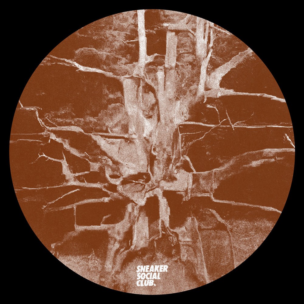 Buckley/CARL'S FLOORBOARD 12"