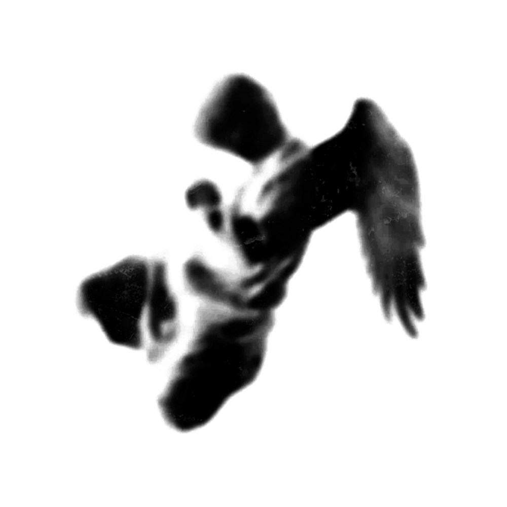 Bobby Ingham/ANGEL OF THE NORTH LP