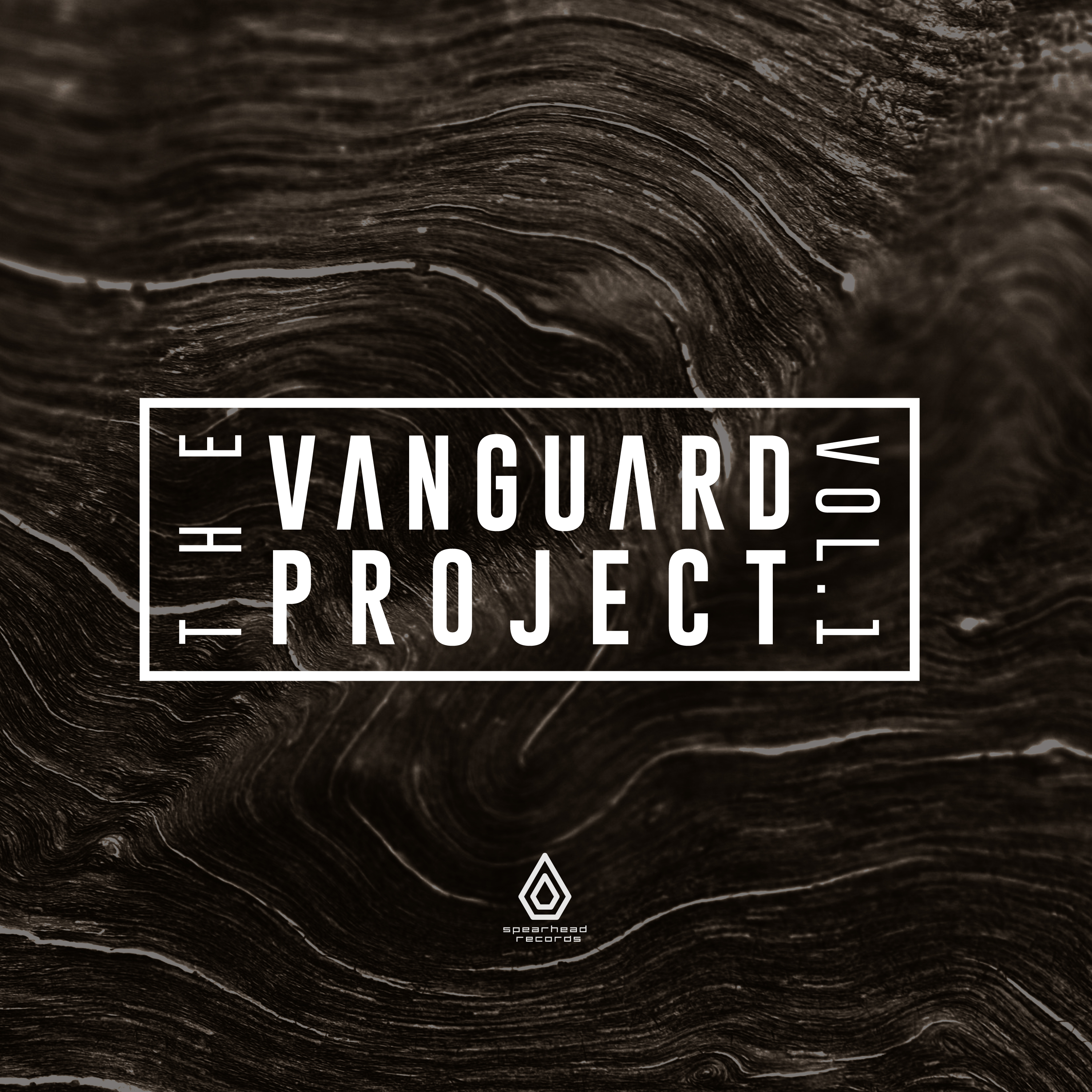 Vanguard Project/VOLUME ONE EP 12"