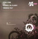 Steal Vybe/MISSING YOU 12"
