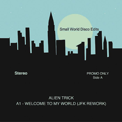 Small World Disco/EDITS #11 12"