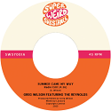 Greg Wilson/SUMMER CAME MY WAY 7"