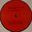 Alexander Robotnick/ANALOG SESSION 12"