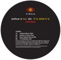 Joshua Iz/IT IZ WHAT IT IZ (REMIXES) 12"