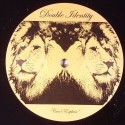 Double Identity/CAN'T EXPLAIN 12"