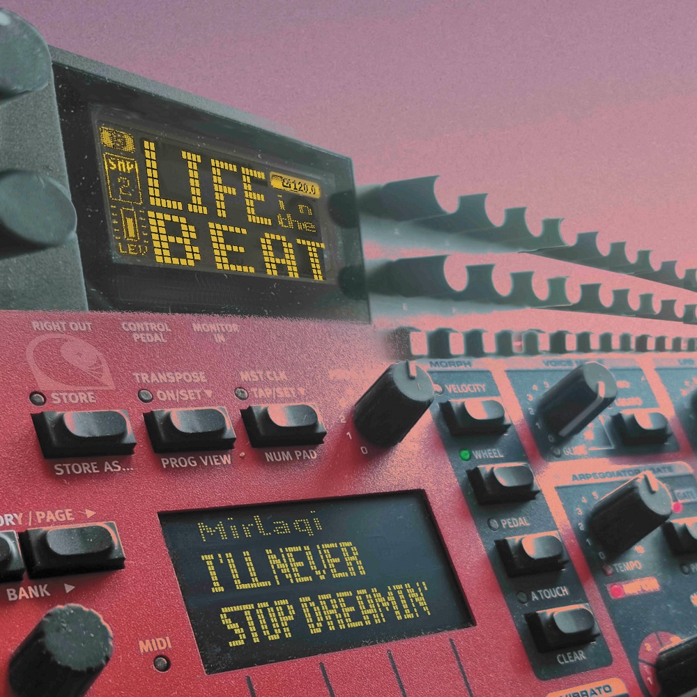 Mirlaqi/I'LL NEVER STOP DREAMIN' EP 12"