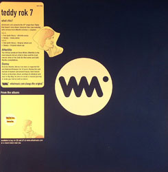 Teddy Rok 7/FEEL & STEADY REMIXES 12"