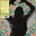 Startled Insects/THE ANTENNA YEARS LP