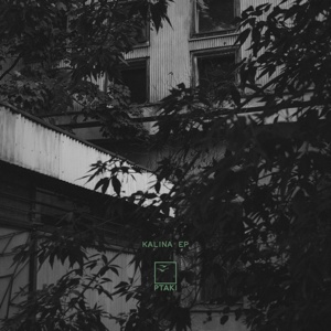 Ptaki/KALINA EP 12"