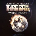Bob Sinclar/WHAT I WANT 12"